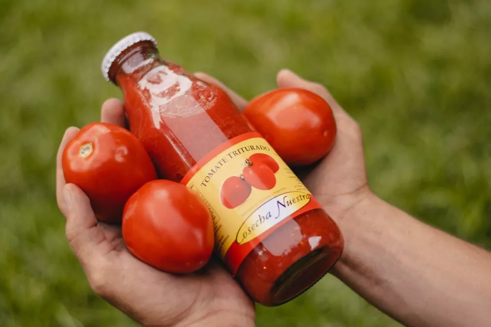 Tomate triturado en botella 950gr pack x8 - Imagen 2