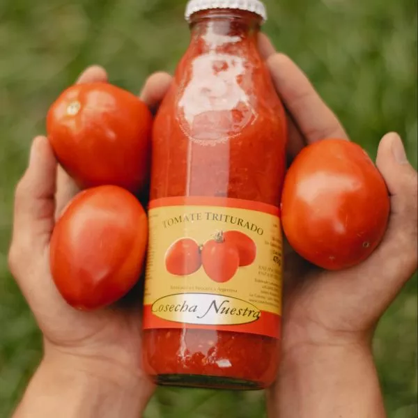 Tomate triturado 470gr pack x12