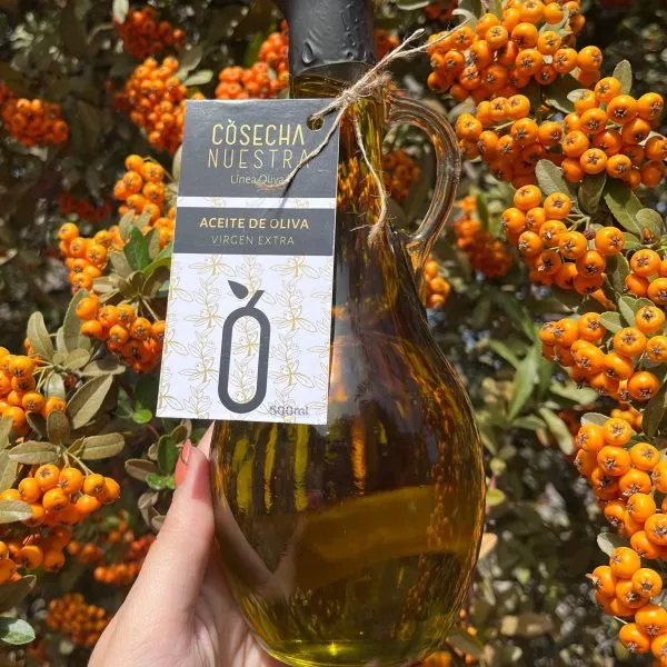 Jarra Aceite de oliva x500ml x6 unidades